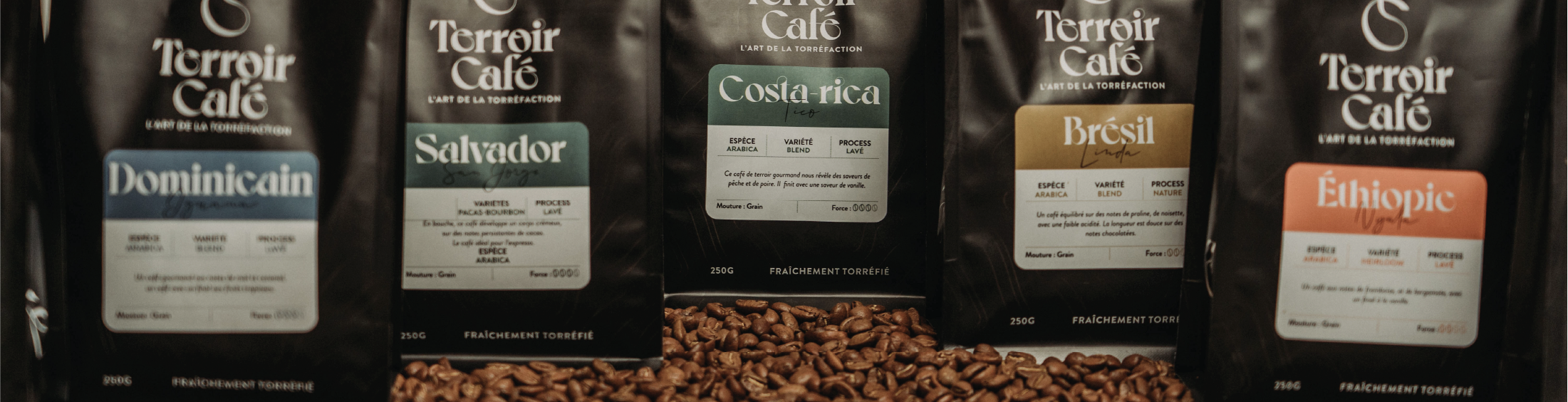 Vente de café - pures arabicas, grands terroirs, Bio et Rainforest