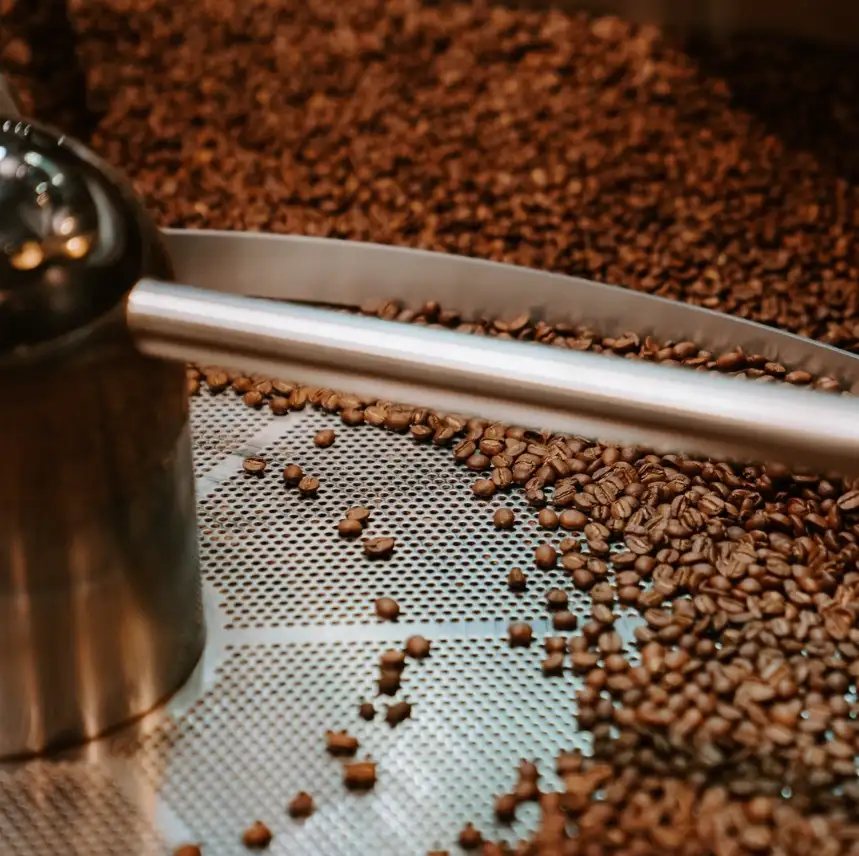 Terroir café : Qu'est-ce qu'un café grand cru ?