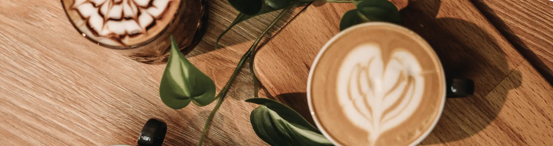 Terroir café : Titre bas capsules nespresso très bons cafés