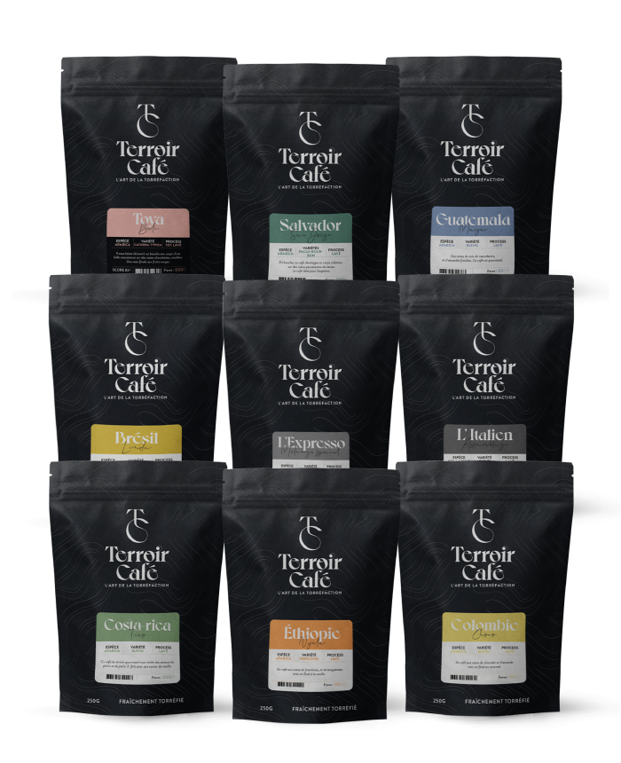 Terroir café : Pack - Best Seller