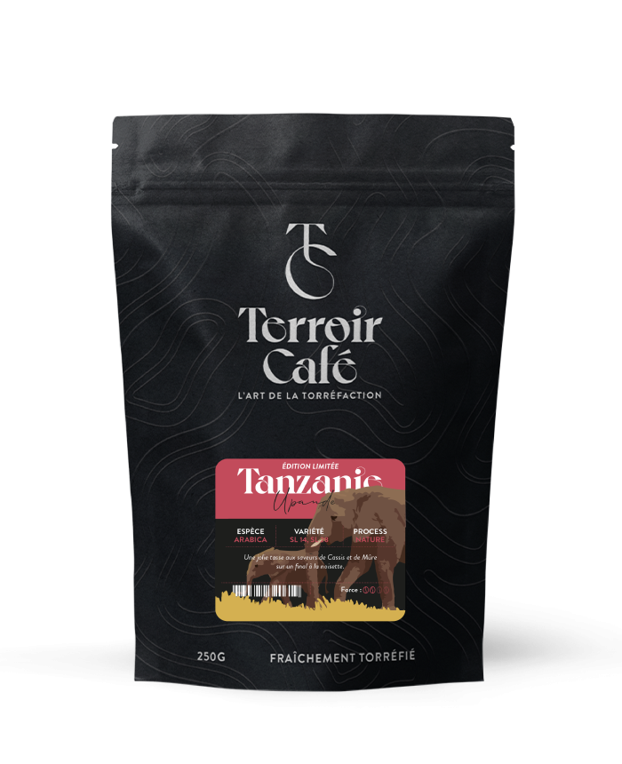 Terroir café : Café de Tanzanie - Upande Edition limitée