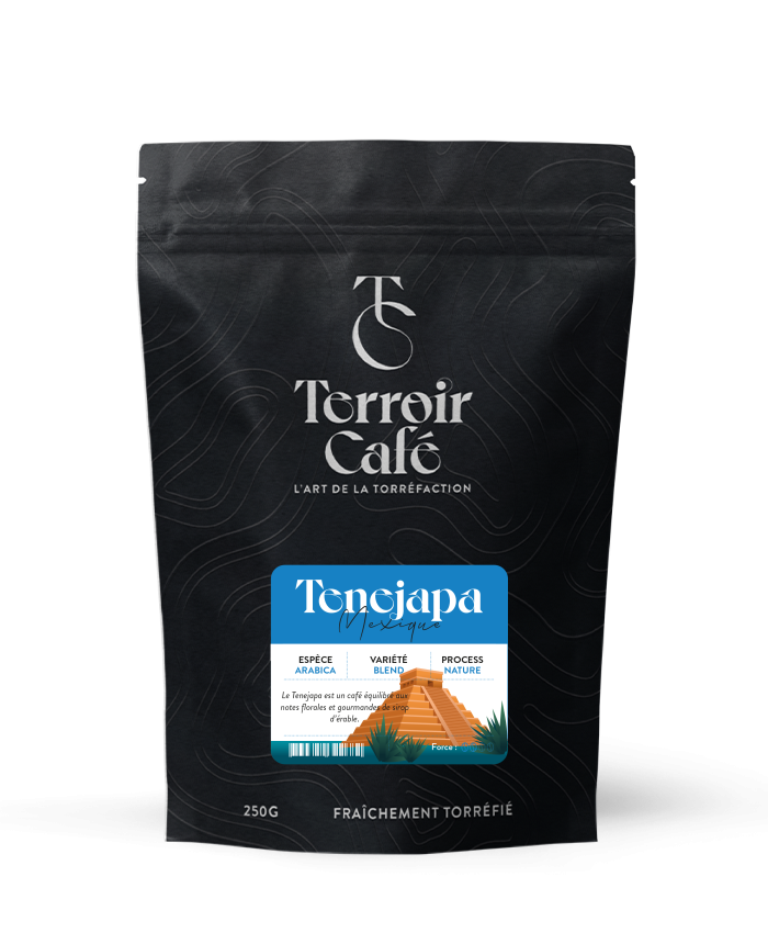 Terroir café : Café du Mexique - Tenejapa