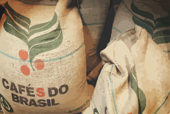 Terroir café : Café du Brésil - Linda