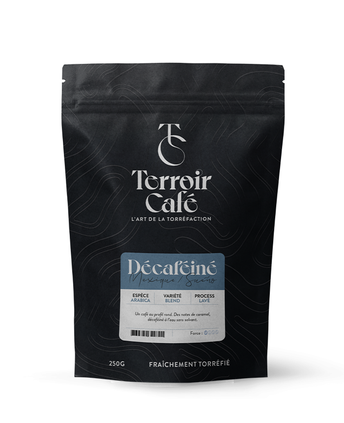 Terroir café : Café Décaféiné du Mexique - Sueno