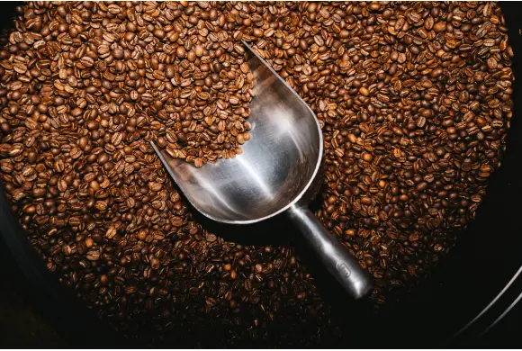 Terroir café : Atelier Torréfaction