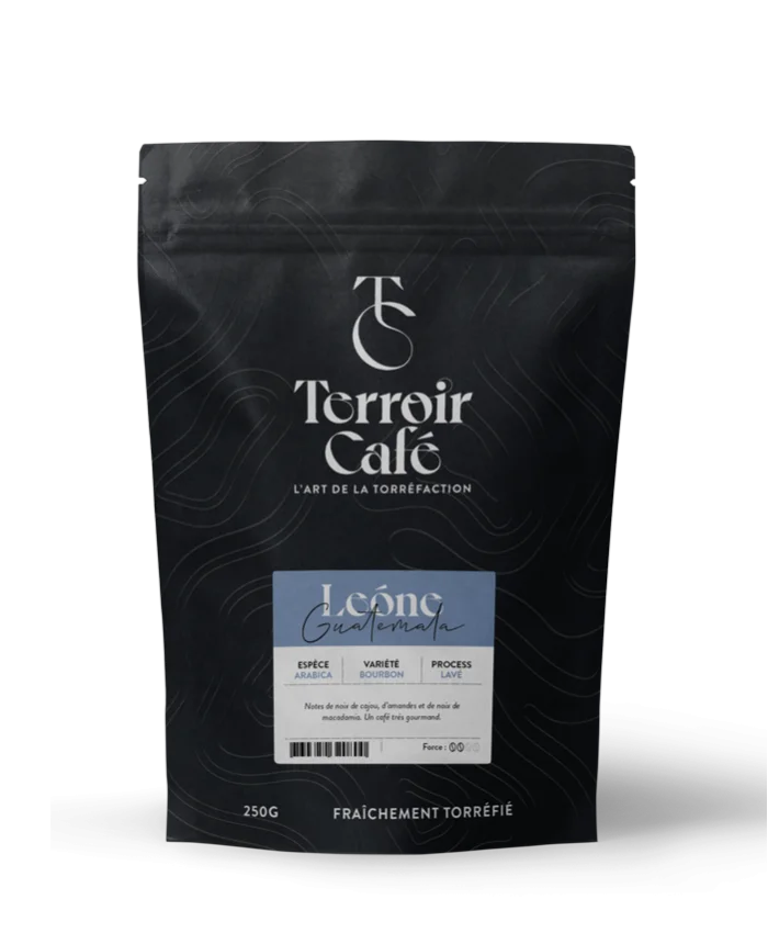 Terroir café : Café du Guatemala - Maya