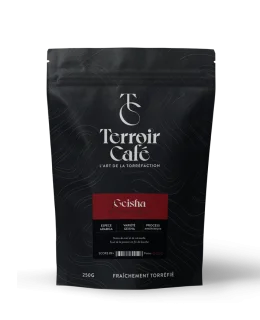 Café du Panama - Geisha - Grand cru