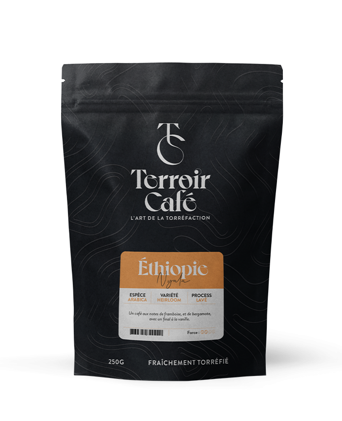 Terroir café : Café d'Ethiopie - Nyala