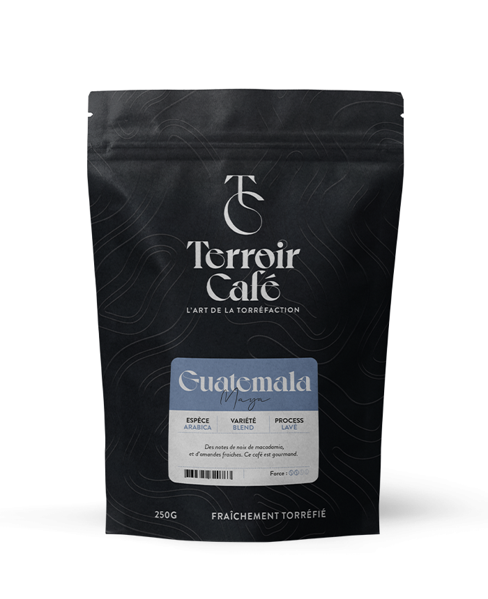 Terroir café : Café du Guatemala - Maya