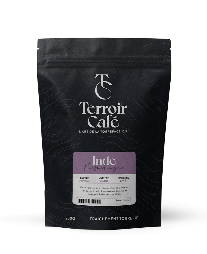 Terroir café : Café d'Inde - Kushalnagar