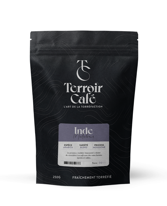 Terroir café : Café d'Inde - Malabar