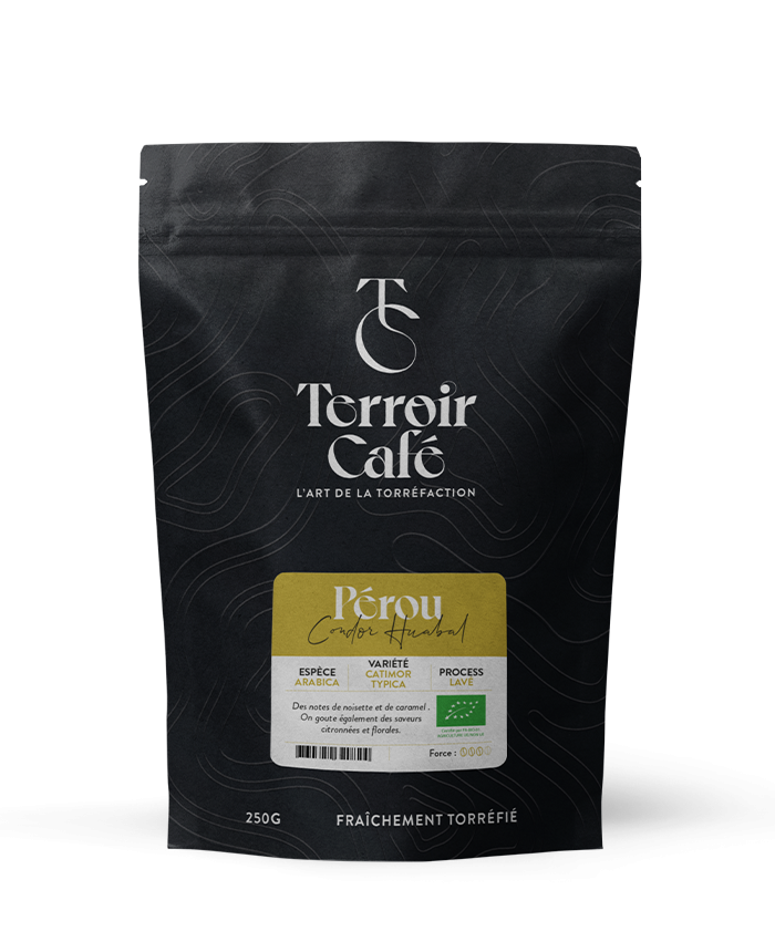 Terroir café : Café du Pérou - Condor Huabal