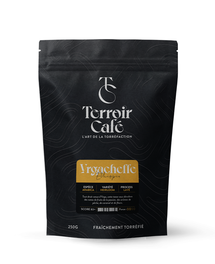 Terroir café : Café d'Ethiopie - Yrgacheffe