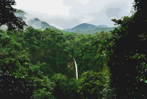 Terroir café : Capsules - Costa Rica