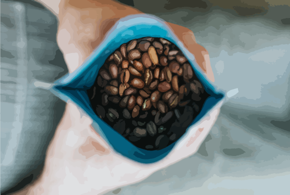 Terroir café : Dosettes - Corsé