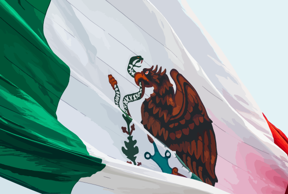 Terroir café : Dosettes - Mexique