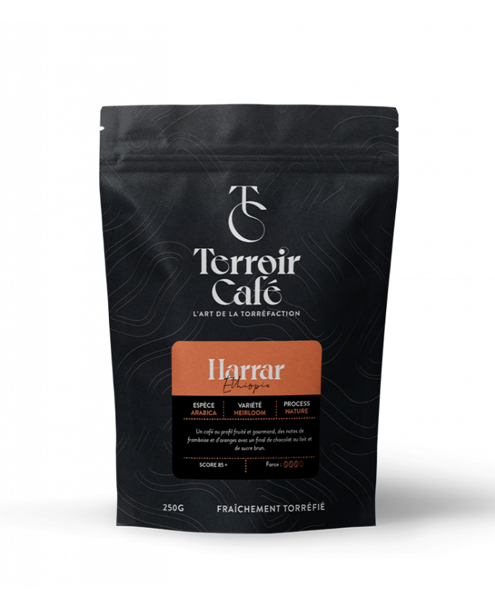 Terroir café : Café d'Ethiopie - Harrar