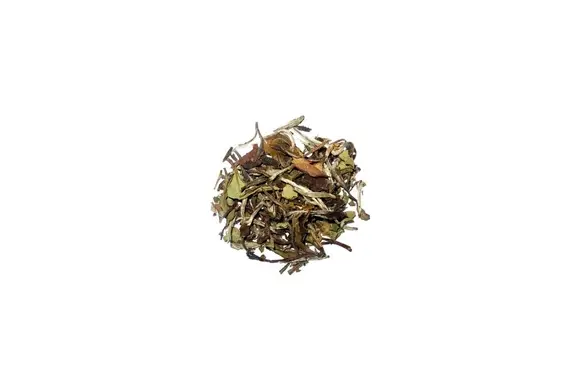 Terroir café : Thé Blanc - Pai mu Tan
