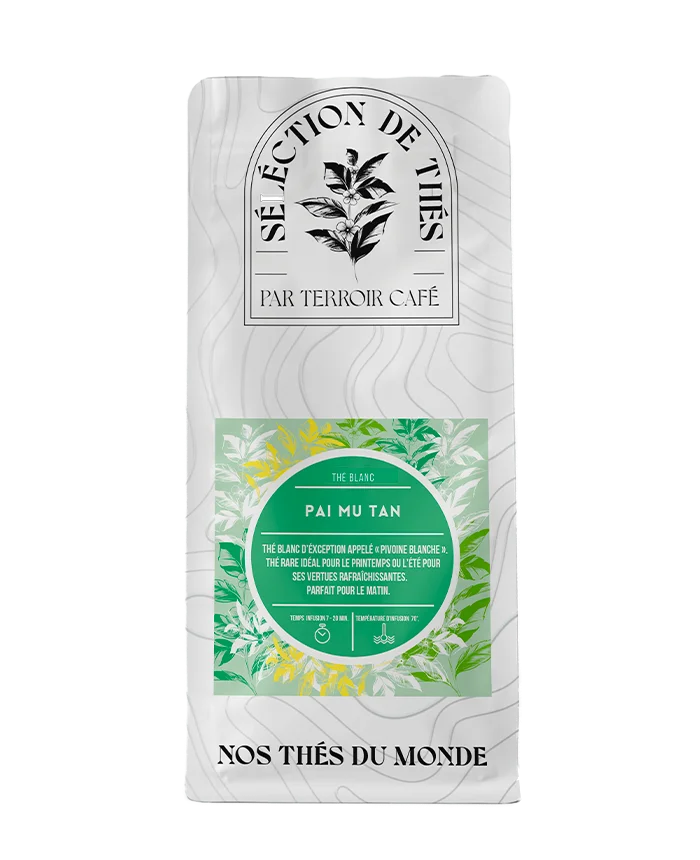 Terroir café : Thé Blanc - Pai mu Tan